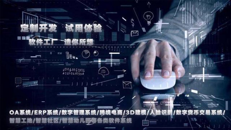软件开发行业在重庆的发展态势
